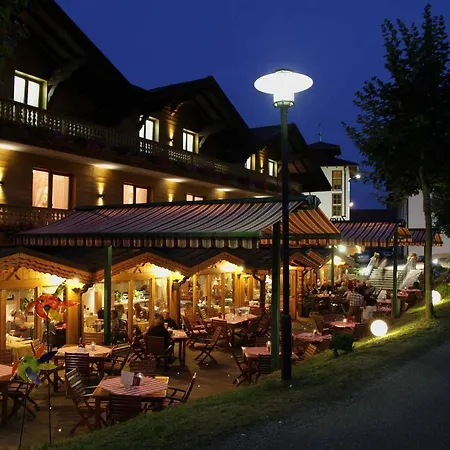 Musik - Und Wellnesshotel Mariandl Singender Wirt Hotel Haibach (Lower Bavaria)