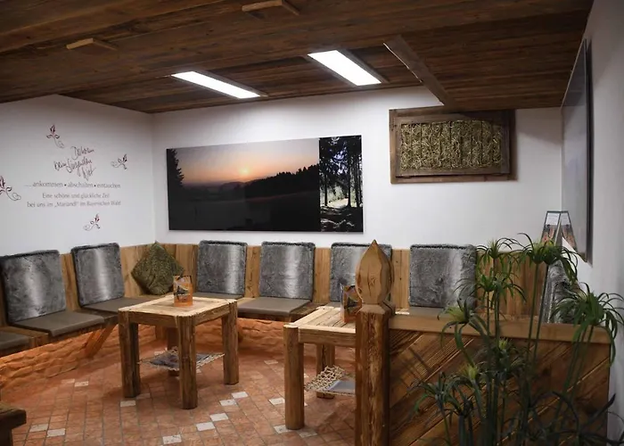 Musik - Und Wellnesshotel Mariandl Singender Wirt Отель Haibach (Lower Bavaria)