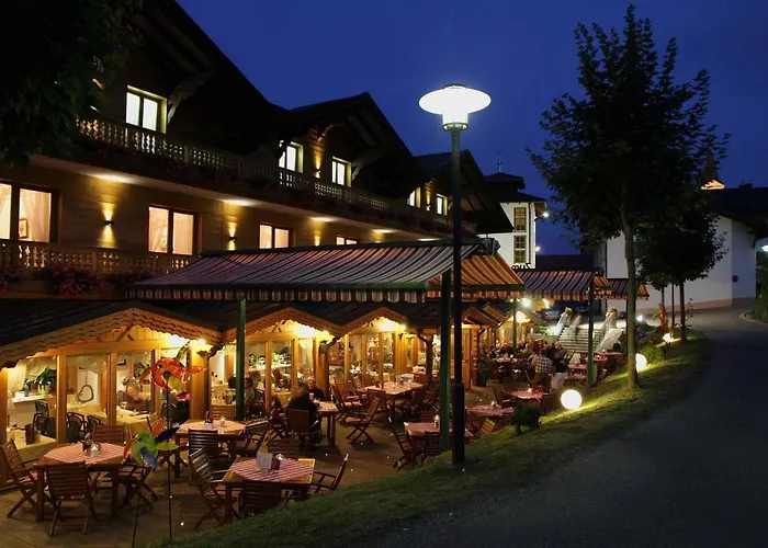Musik - Und Wellnesshotel Mariandl Singender Wirt Отель Haibach (Lower Bavaria)