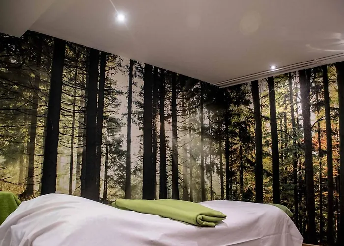Musik - Und Wellnesshotel Mariandl Singender Wirt * Haibach (Lower Bavaria)